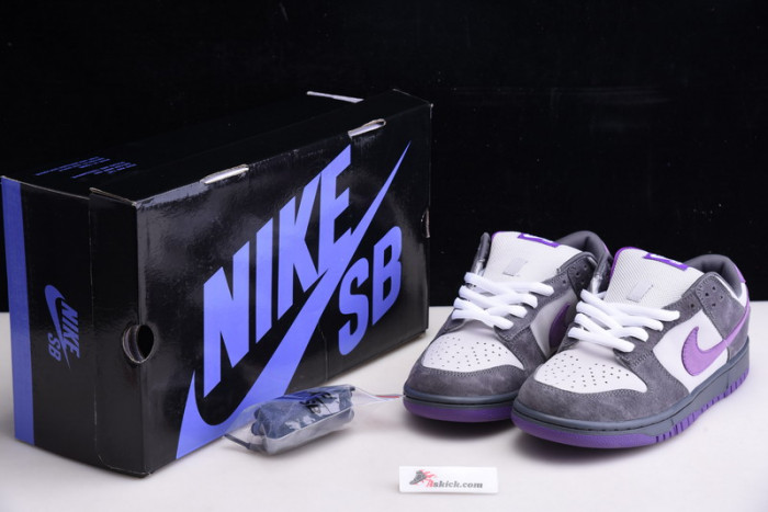 nike dunk sb low purple pigeon 304292-051